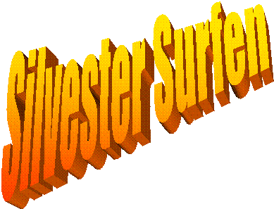 Silvester Surfen